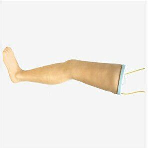 Advanced Intravenous Transfusion Leg Model